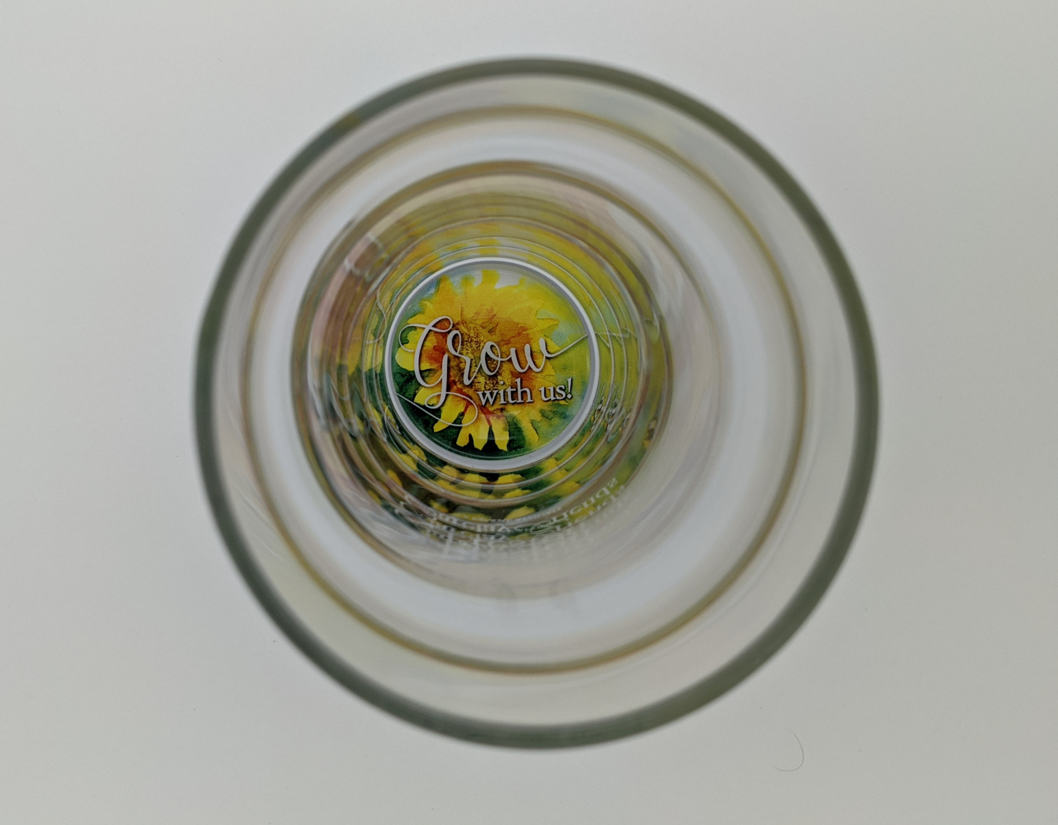 PXL_20210809_142849823