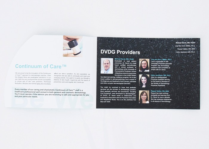 dvdgbrochure2