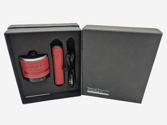 VSD-Speaker-set